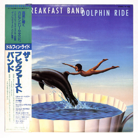 Dolphin Ride