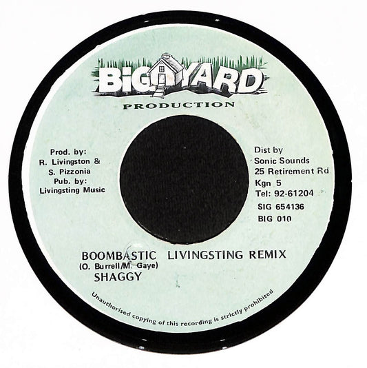 Boombastic (Livingsting Remix)