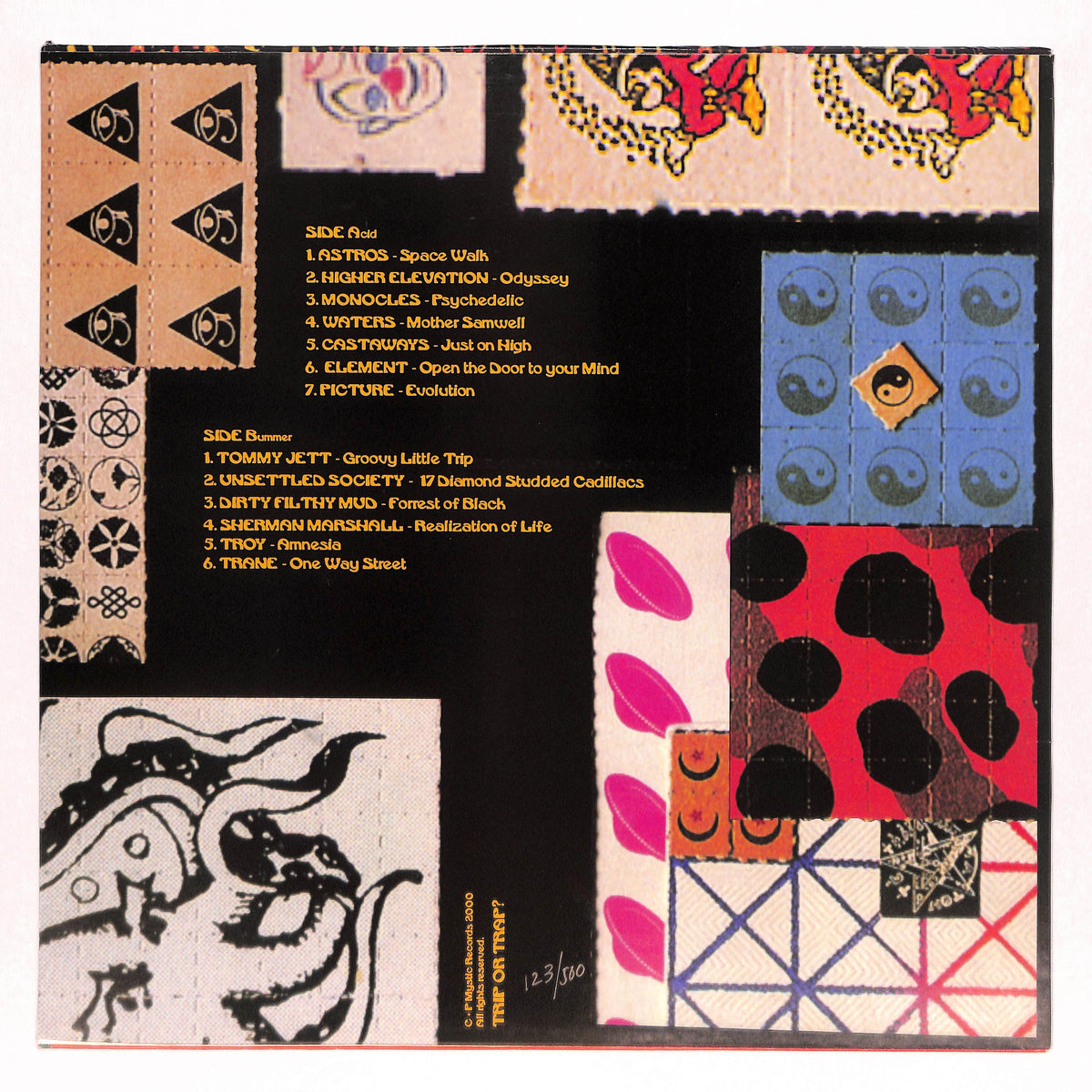 The Psychedelic Experience Vol 2