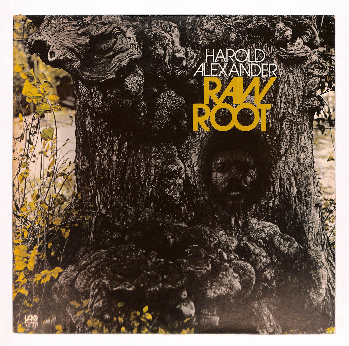 Raw Root