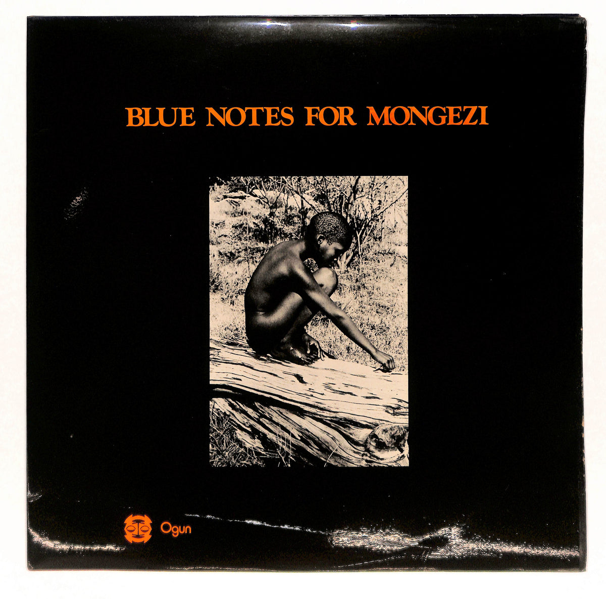 Blue Notes For Mongezi