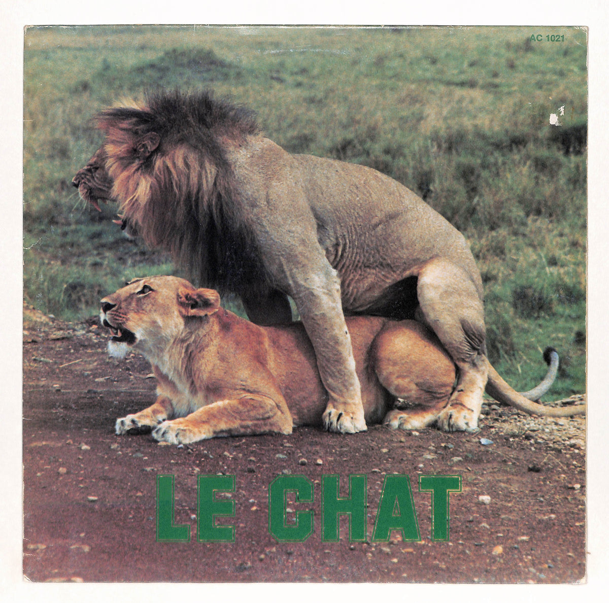 Le Chat
