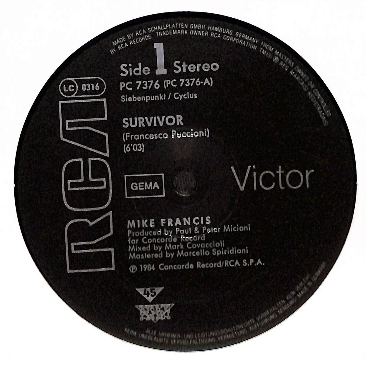 Survivor